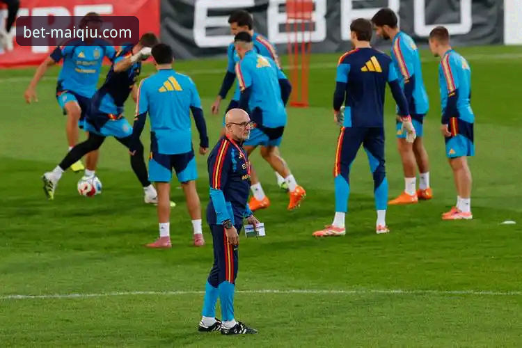 星光陨落与战术博弈：帕尼切利伤退与阿根廷世界杯前景的深度对比分析