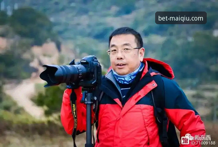 资深用户吴刚深度解析：陶瓷球场的生死博弈，从保级战看赛事数据价值